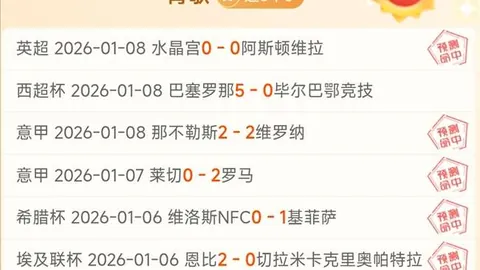 约基奇三双助力灰熊止奇才连胜，河村三分闪耀击败奇才