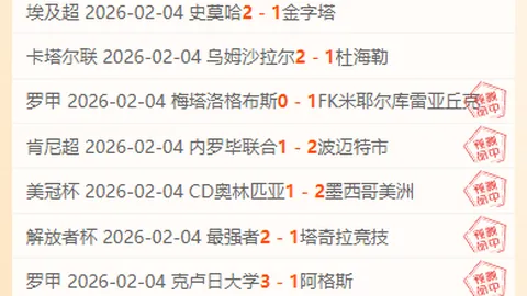 多特蒙德面临密集赛程稳定性挑战——格罗斯观点